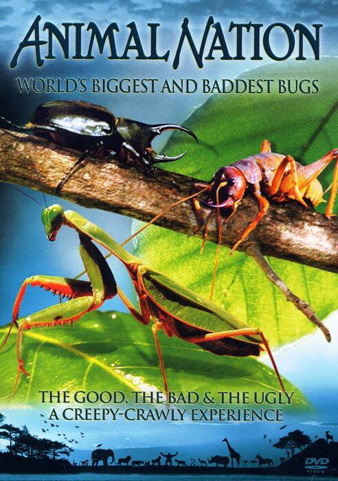 Самые большие и страшные жуки в мире (2009)